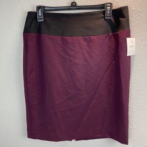 NWT Ellen Tracy Skirt Size 10